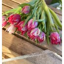 10x Frische Tulpe Flashpoint- pink gefüllt~ außergewöhnlich elegante und farbintensive Tulpen‑Sorte für die Vase