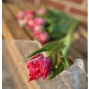 10x Frische Tulpe Flashpoint- pink gefüllt~ außergewöhnlich elegante und farbintensive Tulpen‑Sorte für die Vase
