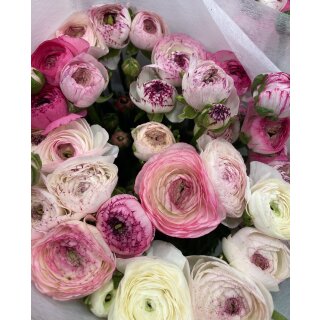 10x Ranunkeln „Capucino“ – frische Blumendeko für die Vase – Frühling für dein Zuhause