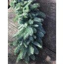 Winterliche Girlande aus Nobilistanne 1m~  frische...