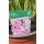 Stockrosen rosa gefüllt ~Alcea Chaters Pink ~ im großen 5 Liter XL Topf -Knospig - kräftige Solitärqualität