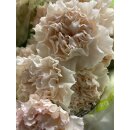 Vintage Edellnelken 10 Stk.~ Puder Rosa ~ Frische Blumendeko