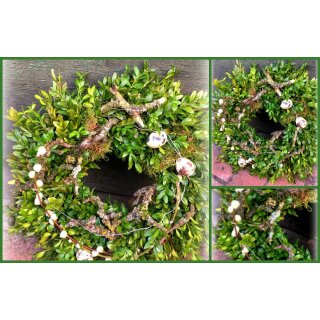 Türkranz Landlust ~ Frühligszauber ~ natürlich schön~ Kranz ca. 25cm