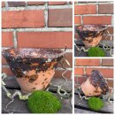 Shabby Harztopf 16x12cm– natürlich schön,...
