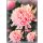 3 Stiele Deko-Chrysanthemen rosa/pink ~ frische Schnittblume mit sehr langer Haltbarkeit