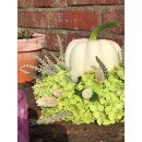 Hortensien ~Annabelle - Kranz mit Kürbis & Co  ~ ca. 22 cm - Spätsommerliche Landpartie
