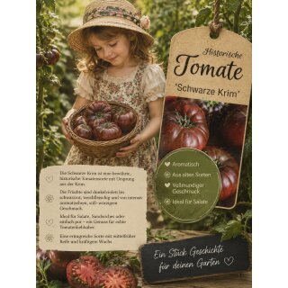 Tomate Schwarze Krim – Tomatenjungpflanze im Topf~ historische Aromatomate mit fruchtig-süßwürzigem Geschmack für echte Tomatenliebhaber