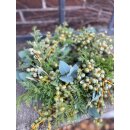 Winterzauber Kanz ca 30cm - Silberzypresse - Eukalyptus - Datteln ..Trendige  Naturdeko