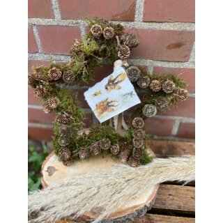 Wald-Stern mit Lärchen-Zapfen ca .30 cm ~ tolle Winterdeko ganz natürlich..Naturdeko