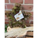 Wald-Stern mit Lärchen-Zapfen ca .30 cm ~ tolle...