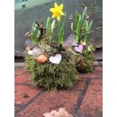 Mooskugel Narzisse ~ Landhausstyle..Frühlingsdeko~ Frühling