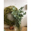 Eukalyptus cinera frisch ~ 1 schönes Bund Eucalyptus...