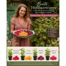 Bunte Himbeertruppe – 4 besondere Himbeersorten im...