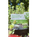 Rosen-Thymian ~Summerdreams  im großen Topf ~ Bienenweide -duftige Staude für sonnige Plätze - Bodendecker Thymus