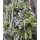 Herbstkranz in Green & White – edel und natürlich ~  ca. 26-28 cm ~ Türkranz zauberhaft herbstlich.. edel und natürlicher Kran