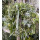 Herbstkranz in Green & White – edel und natürlich ~  ca. 33–35 cm ~ Türkranz zauberhaft herbstlich.. edel und natürlicher Kranz