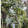 Herbstkranz in Green & White – edel und natürlich ~  ca. 33–35 cm ~ Türkranz zauberhaft herbstlich.. edel und natürlicher Kranz