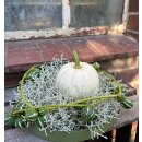 Zierfruchtgirlande - Diplocyclos Palmatus – Scheinzaunrübe..herbstliche Naturdeko, 1m