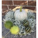 Herbstliches Dekoset II- Baby Boo, Stacheldraht und Ziergurken ..herbstliche Naturdeko