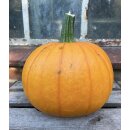 Kürbisse Kürbis Halloween Medi~ Herbstdeko...