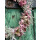 Herbstkranz Fluffy und Hortensie ca 22cm~ zauberhafte natürliche Deko ~ für Tür und Tisch #1