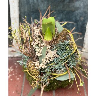 Amaryllis in Mooskugel im Winterlichen Look natürlich dekoriert ~ zauberhafte Naturdeko mit creme Pfeffer