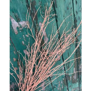 Birke ~ gefärbt peach ~ Bund ~ tolle Deko für die Vase ~ Blumenzweige ~ Flowers