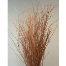 Birke ~ gefärbt peach ~ Bund ~ tolle Deko für...