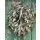Frischer Frühlingkranz ca 40cm ~Eukalyptus–Pistazie mit Wachsflower, Schleierkraut -Statice...veredelt mit Perlhuhnfedern & Spitzenschleife