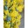 Mimose frisch im Bund ca150 g ca50cm ~sonnengelbe Ponpon Blüten, duftend- blühende Mimosen Zweige für die Vase & zum trocknen~Schnittblumen im Landhausstil #1