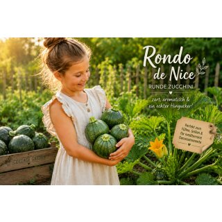 Zucchini Runde FruchtRondo de Nice  Zucchinijungpflanze im Topf ~italienischer Gemüsezauber aus dem Cottage Garden-super zum befüllen/besonders