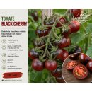 5 StkTomate Black Cherry ~ Tomatenjungpflanze im Topf ~...
