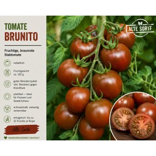 Tomate Brunito Tomatenjungpflanze im Topf– aromatische kastanien -rote Stabtomate mit super Freilandeignung