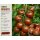 3 Stück Tomate Brunito Tomatenjungpflanze im Topf– aromatische kastanien -rote Stabtomate mit super Freilandeignung #1