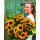 Florale Konzepte für Ihr Richtfest