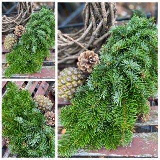Girlande aus Nordmanntanne 1 Meter ~ frische Weihnachts & Adventsdeko ~ winterlich