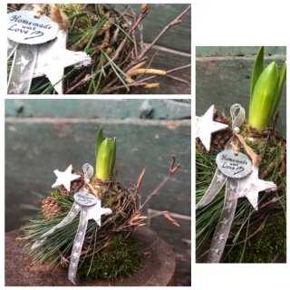 Skandinavische Hyazinthendeko ~ Mooskugel mit weißer Hyazinthe Naturdeko und Sternen ~ natürliche Winterdeko & Geschenkidee ~ Handmade
